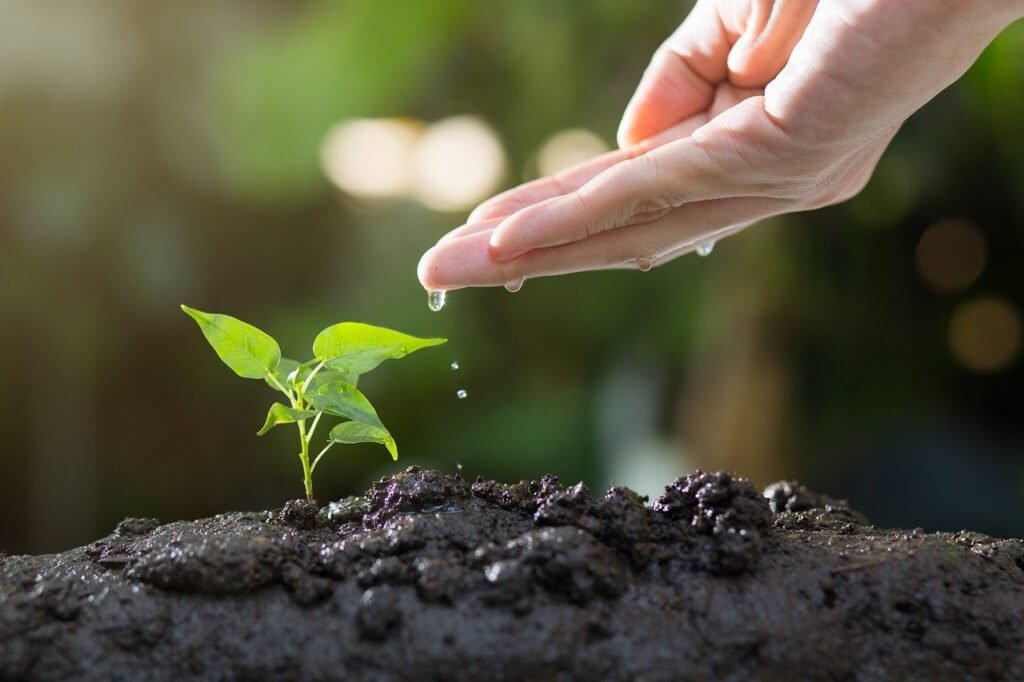 About Garden Gurus Guide
